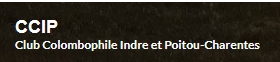 UCML pigeon voyageur