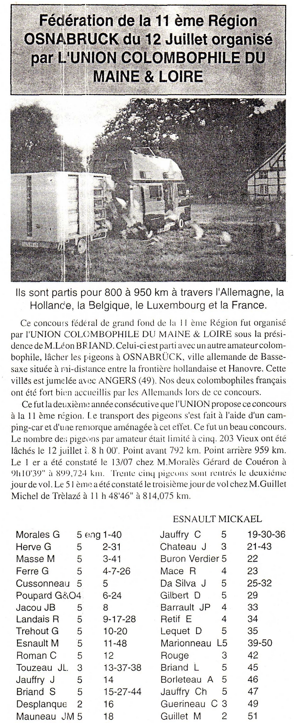 Pigeon voyageur